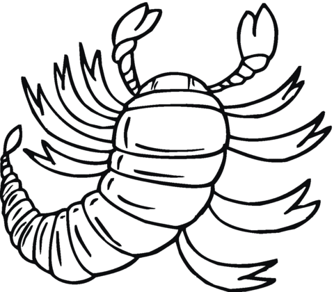 Scorpion 15 Coloring Page